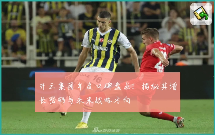 开云集团年度口碑盘点：揭秘其增长密码与未来战略方向