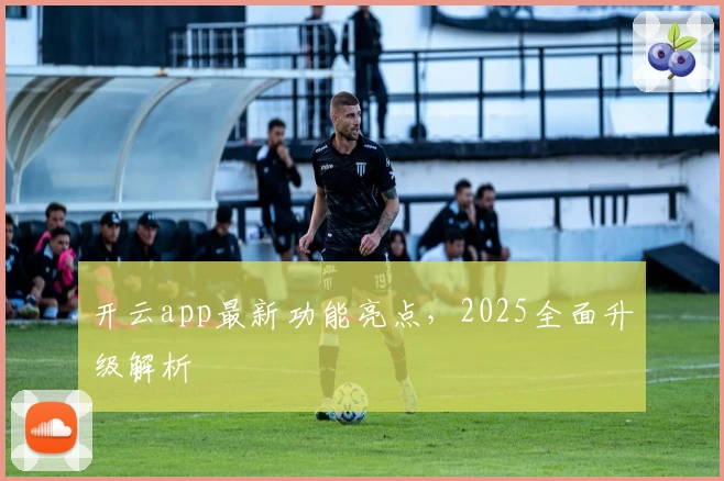 开云app最新功能亮点，2025全面升级解析