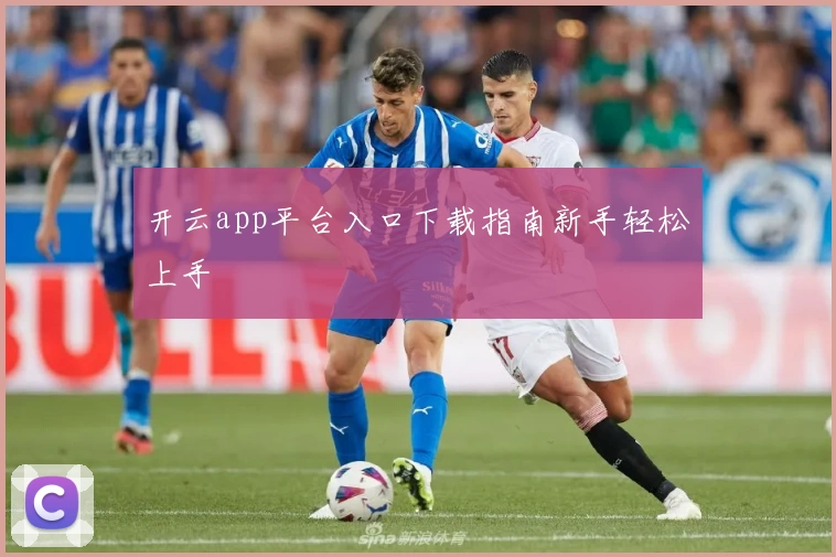 开云app平台入口下载指南新手轻松上手