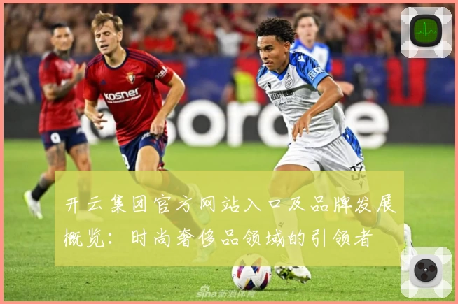 开云集团官方网站入口及品牌发展概览：时尚奢侈品领域的引领者